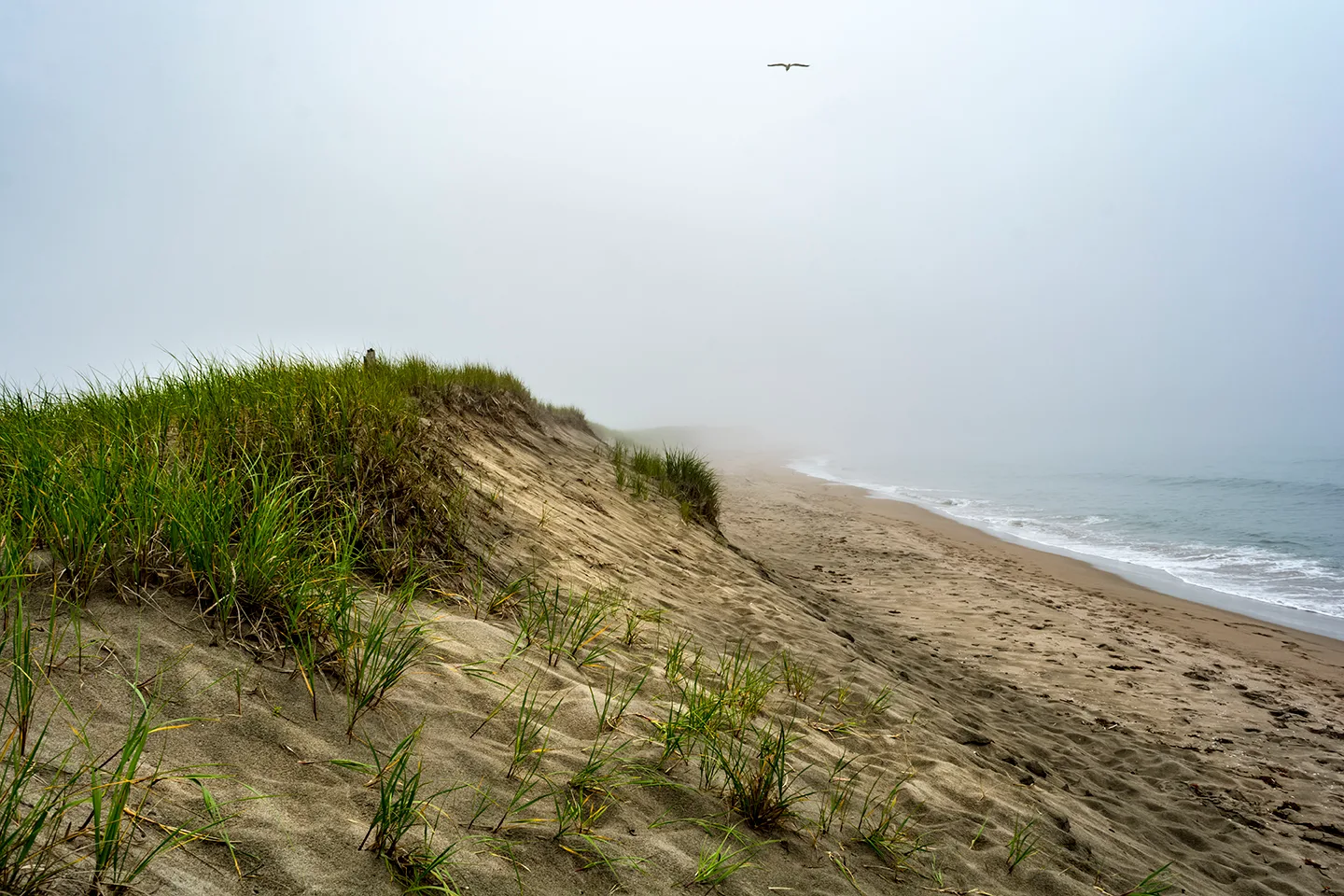 PortAuxBasqueReturn 5