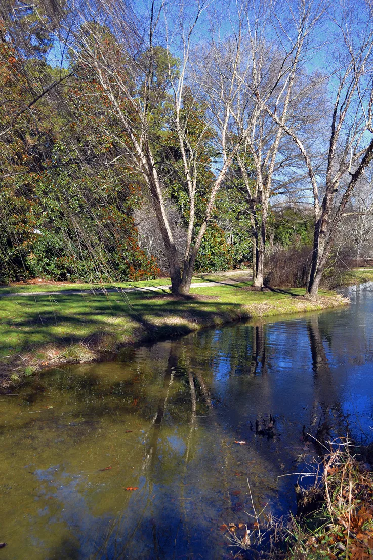Hurley Park Stream