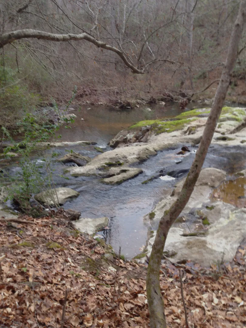 Uwharrie creek smudge