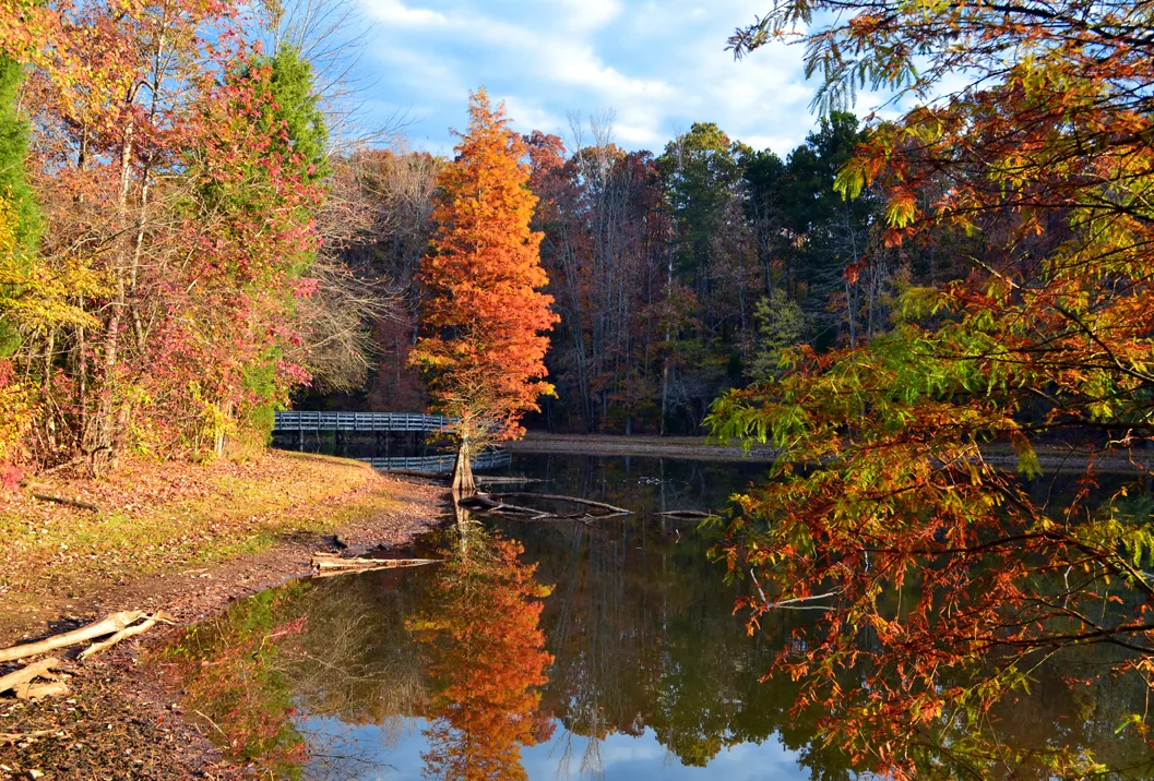 autumn Dan Nicholas 5