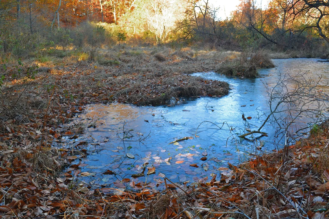 Lake Corriher 2014-10