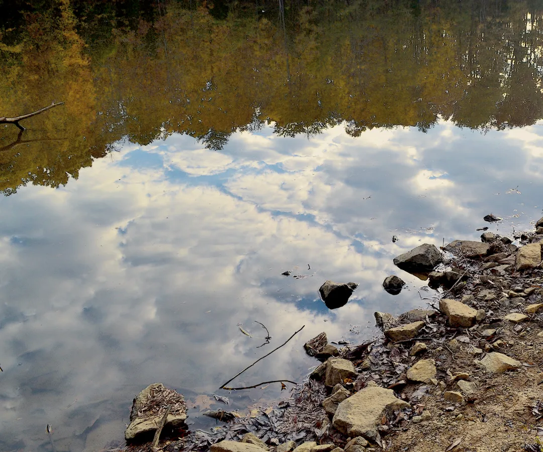 reflections at Dan Nickolas