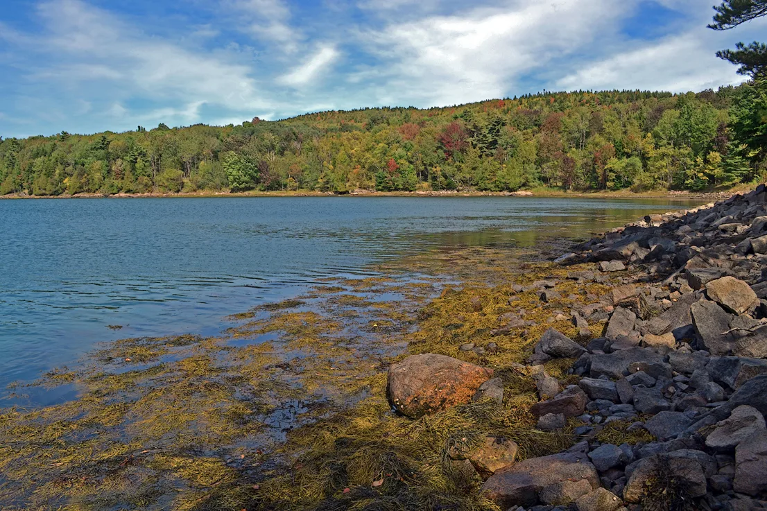 Acadia Pond 5