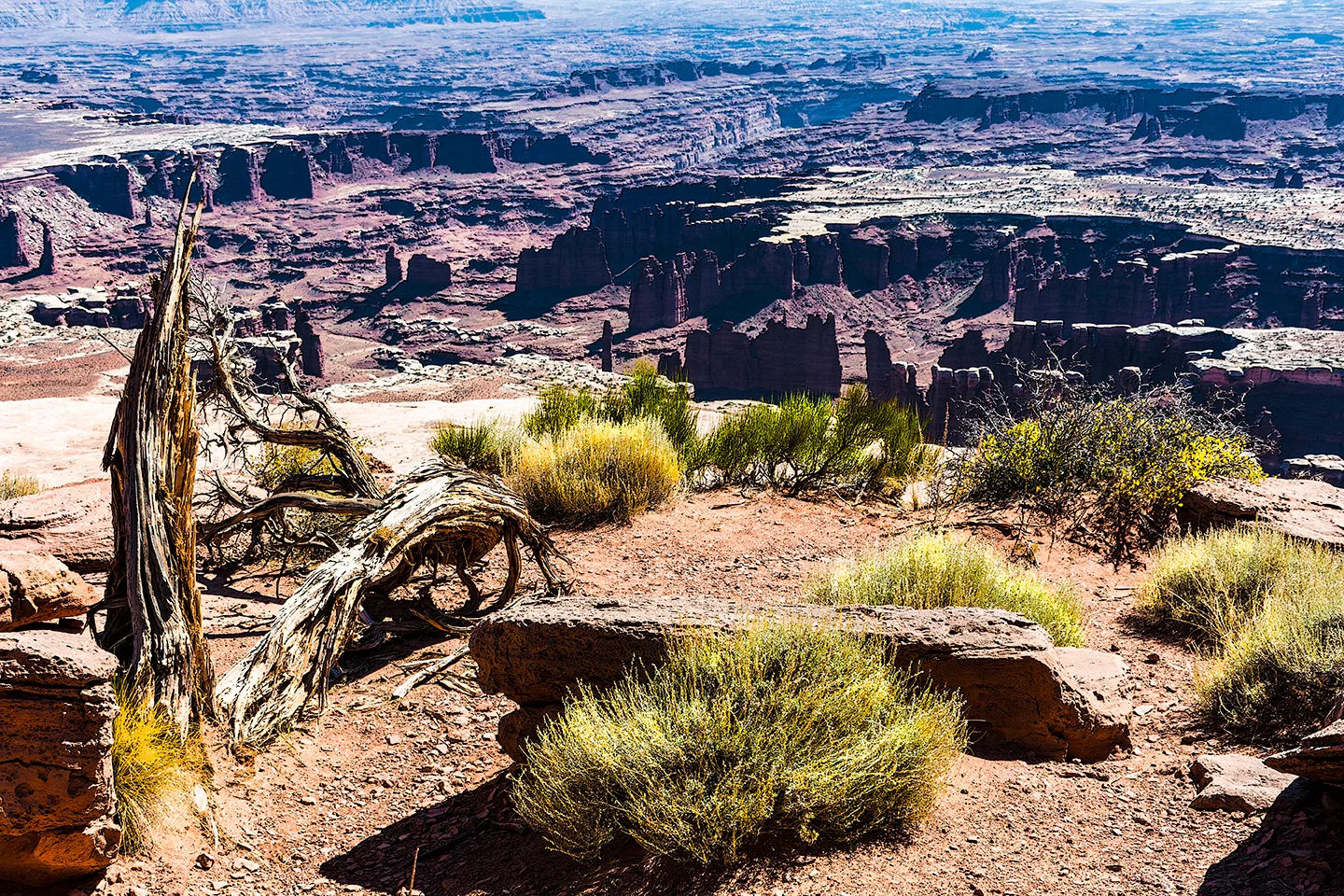 CanyonlandsNationalPark 20