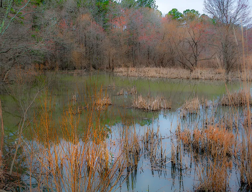 Wildlifeaccessmar 2019 Blur 4