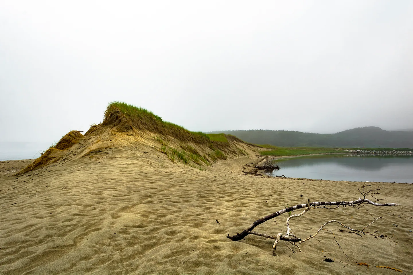 PortAuxBasqueReturn 20