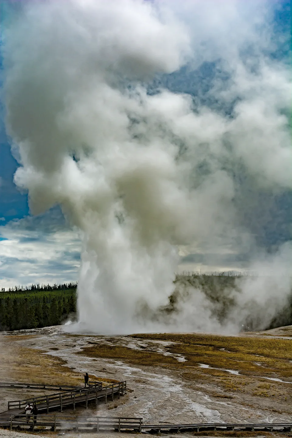 Yellowstone 14