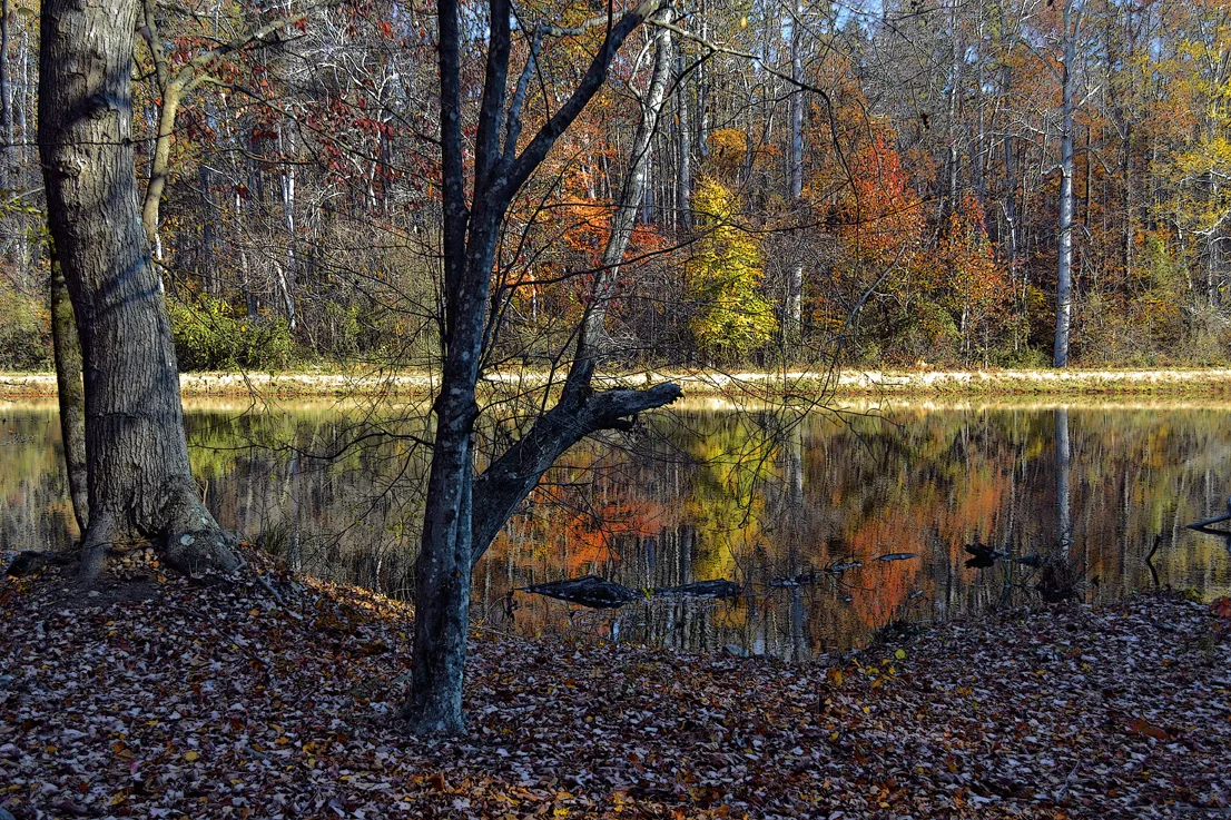 Lake Corriher 2014-4