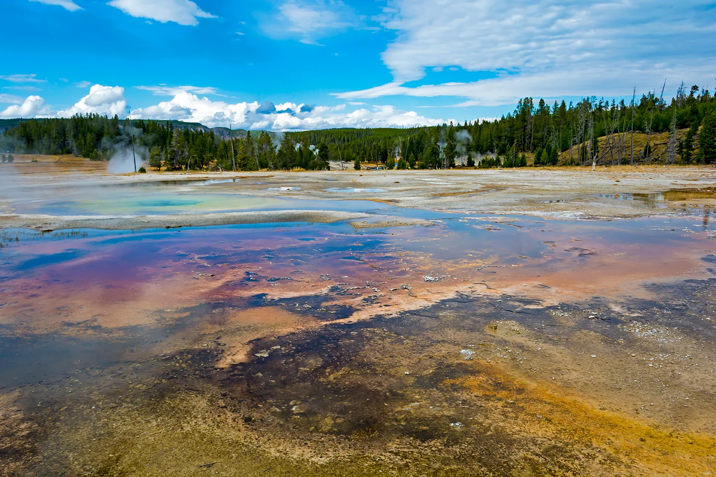 Yellowstone 18