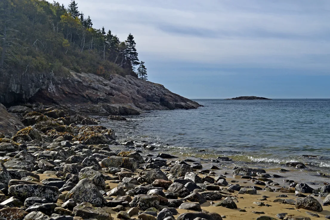 Acadia Shore Fall 1-12