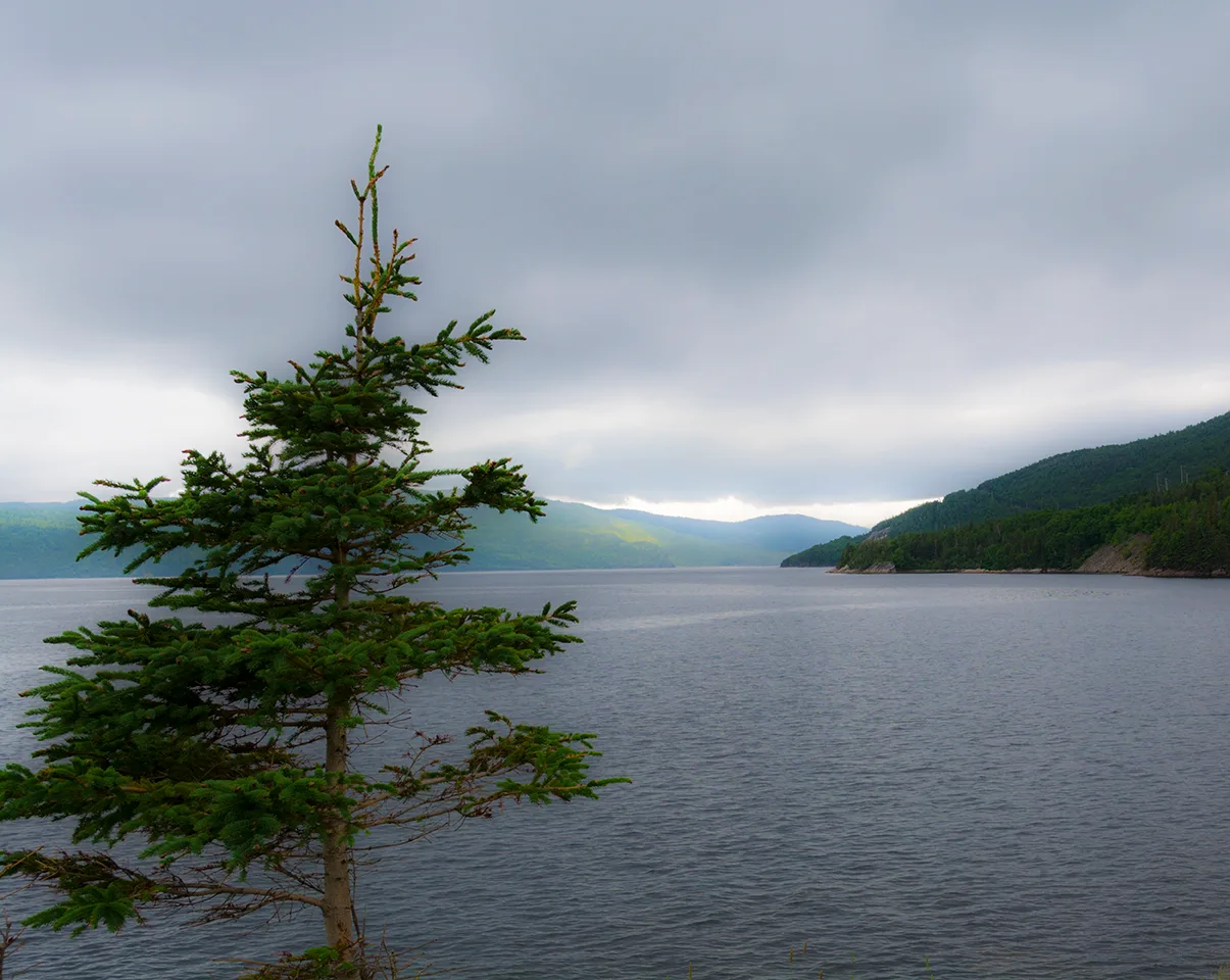 Newfoundlandwestcoast