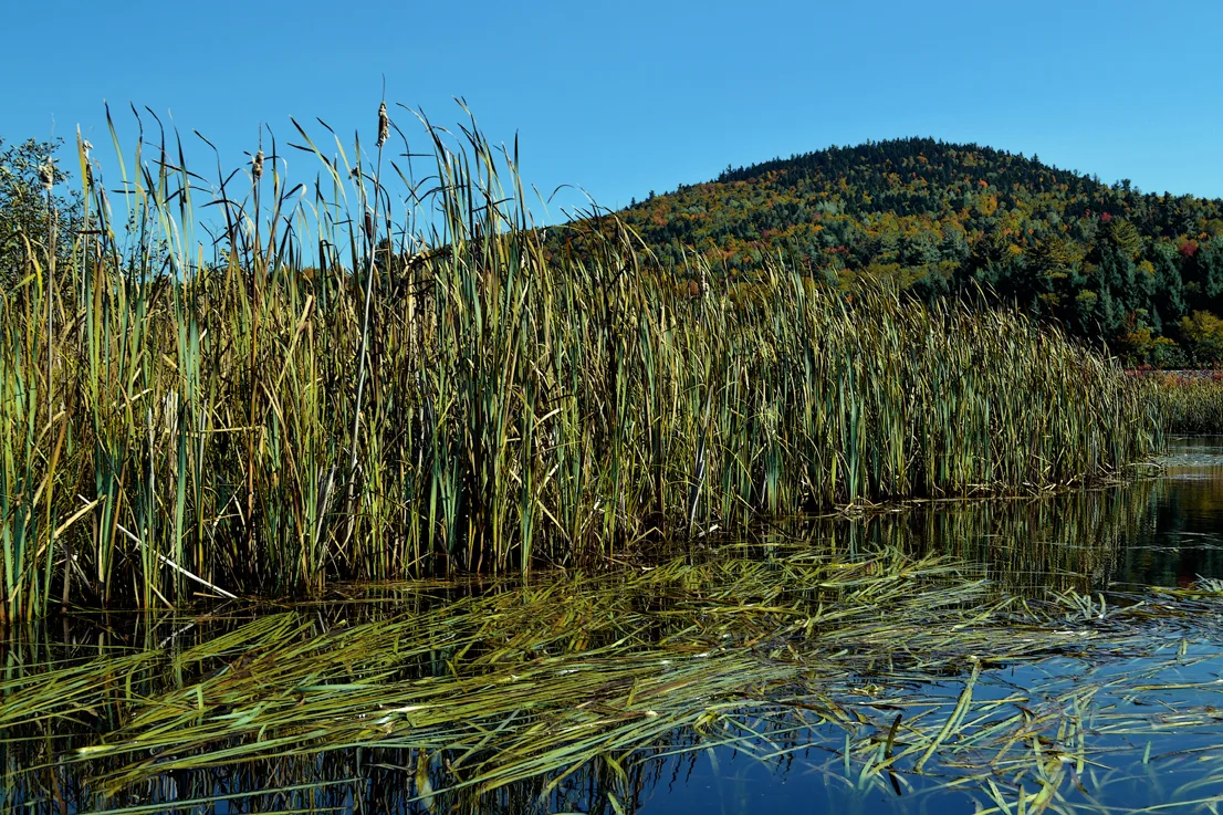 New Hampshire Mtns 6