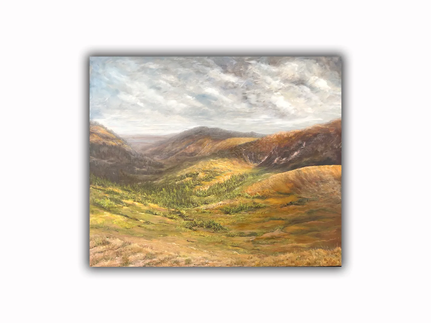 Rocky Mountain National Park 1