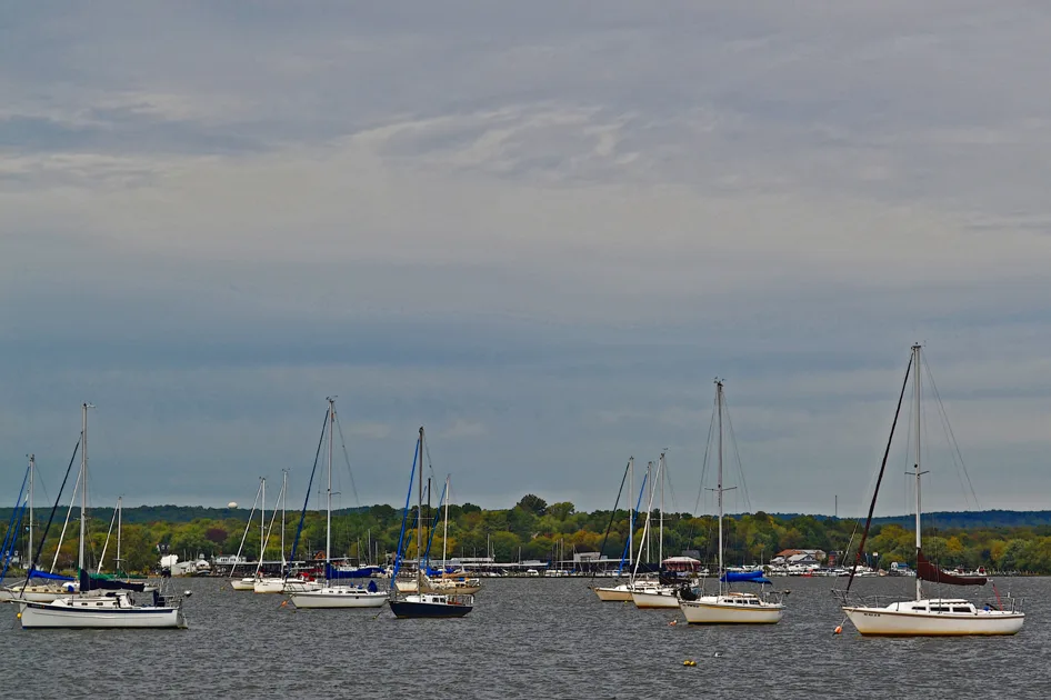 Sailboats 7