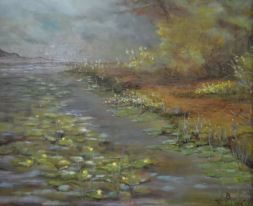 Waterlilies at Dan Nicholas