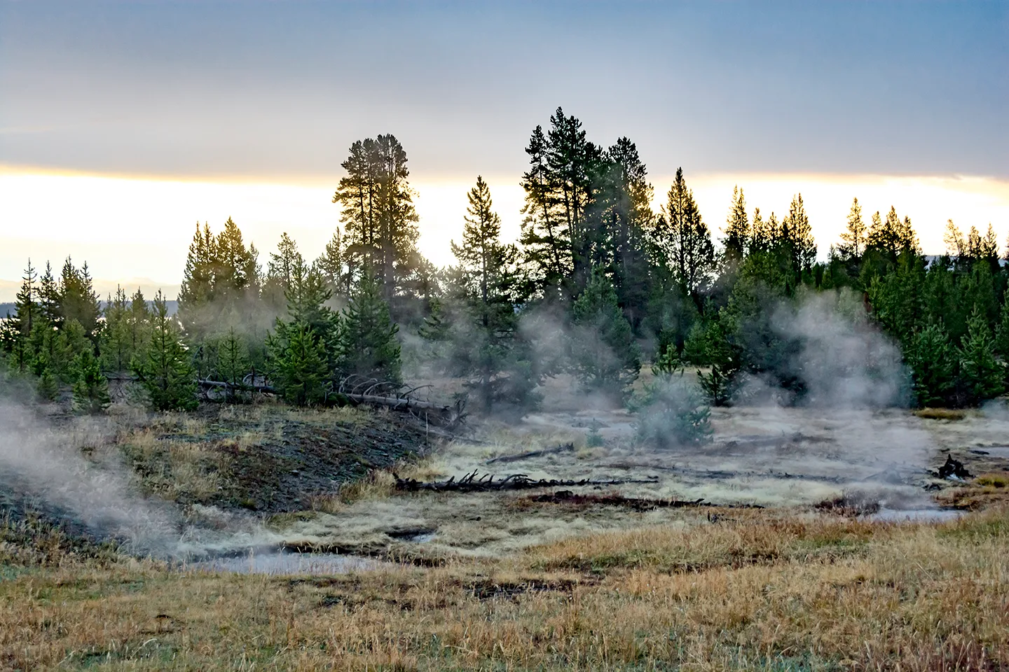 Yellowstone 20
