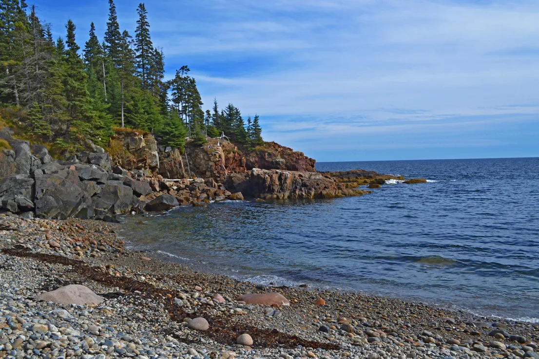 Acadia Shore 1