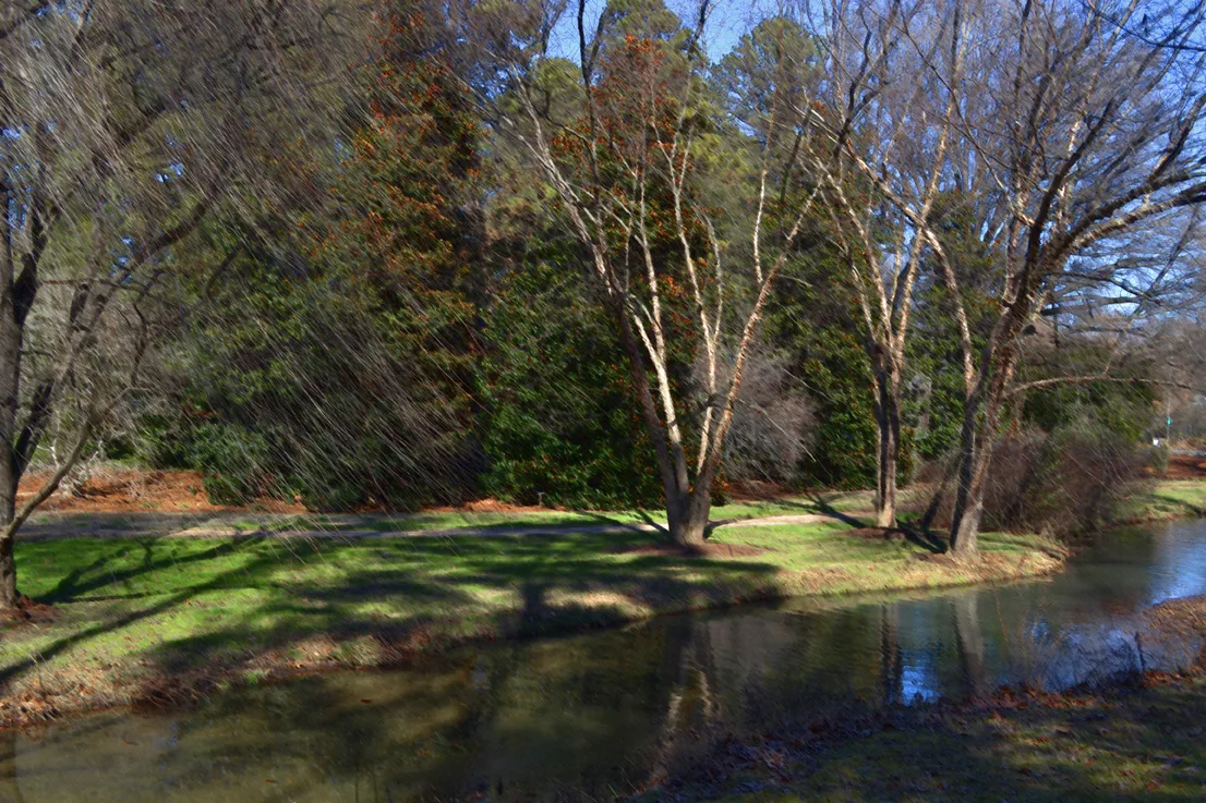 Hurley Park Stream 2