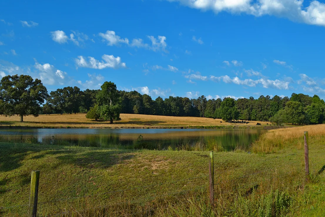 Davie County field 2