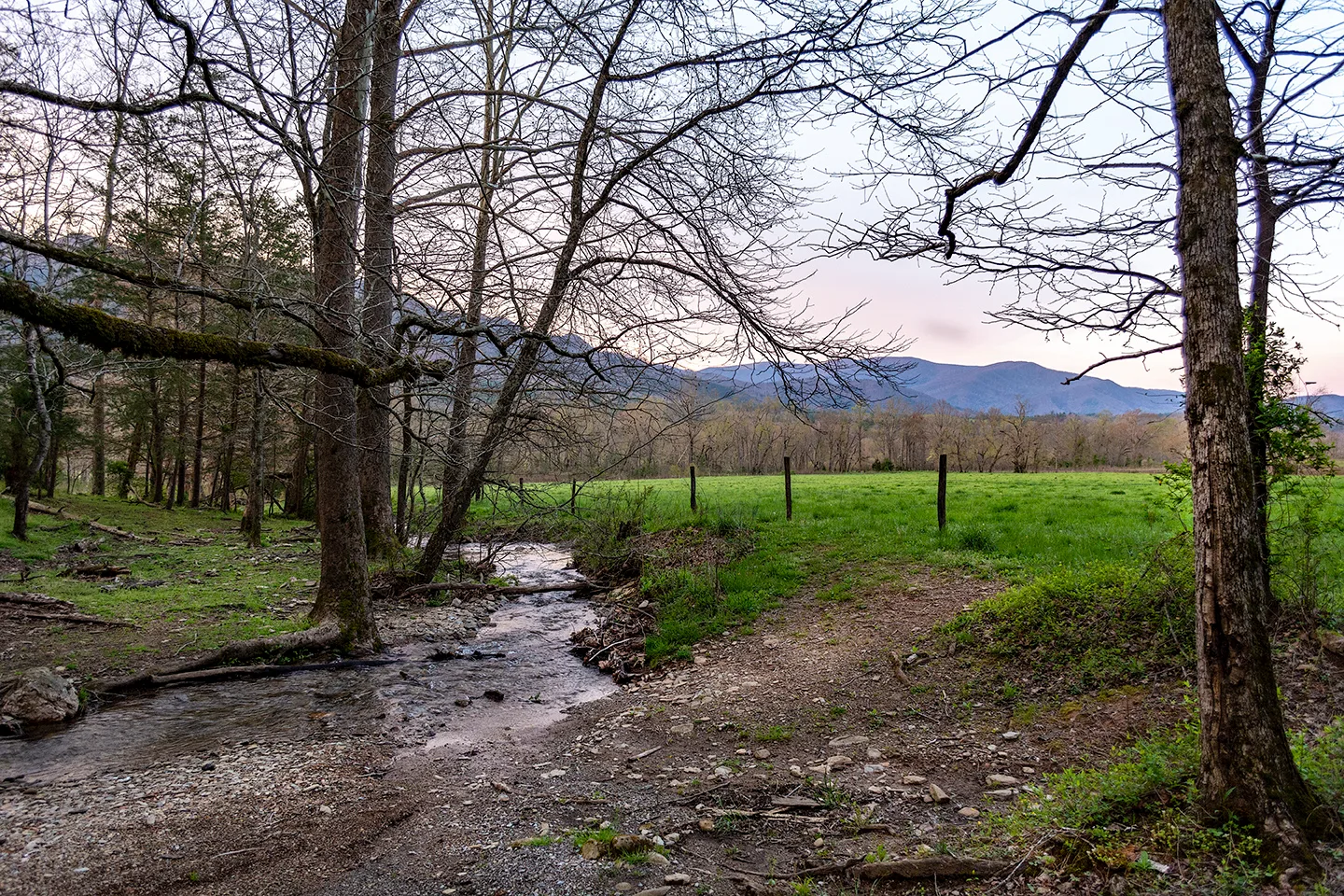 Cadescove 1