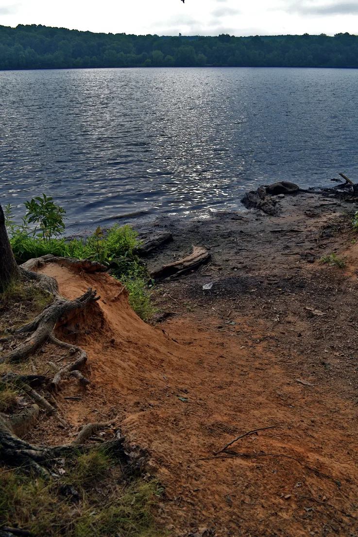 Yadkin Wildlife Access