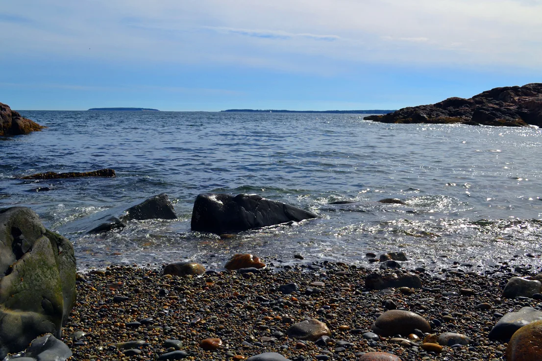 Acadia Shore 13