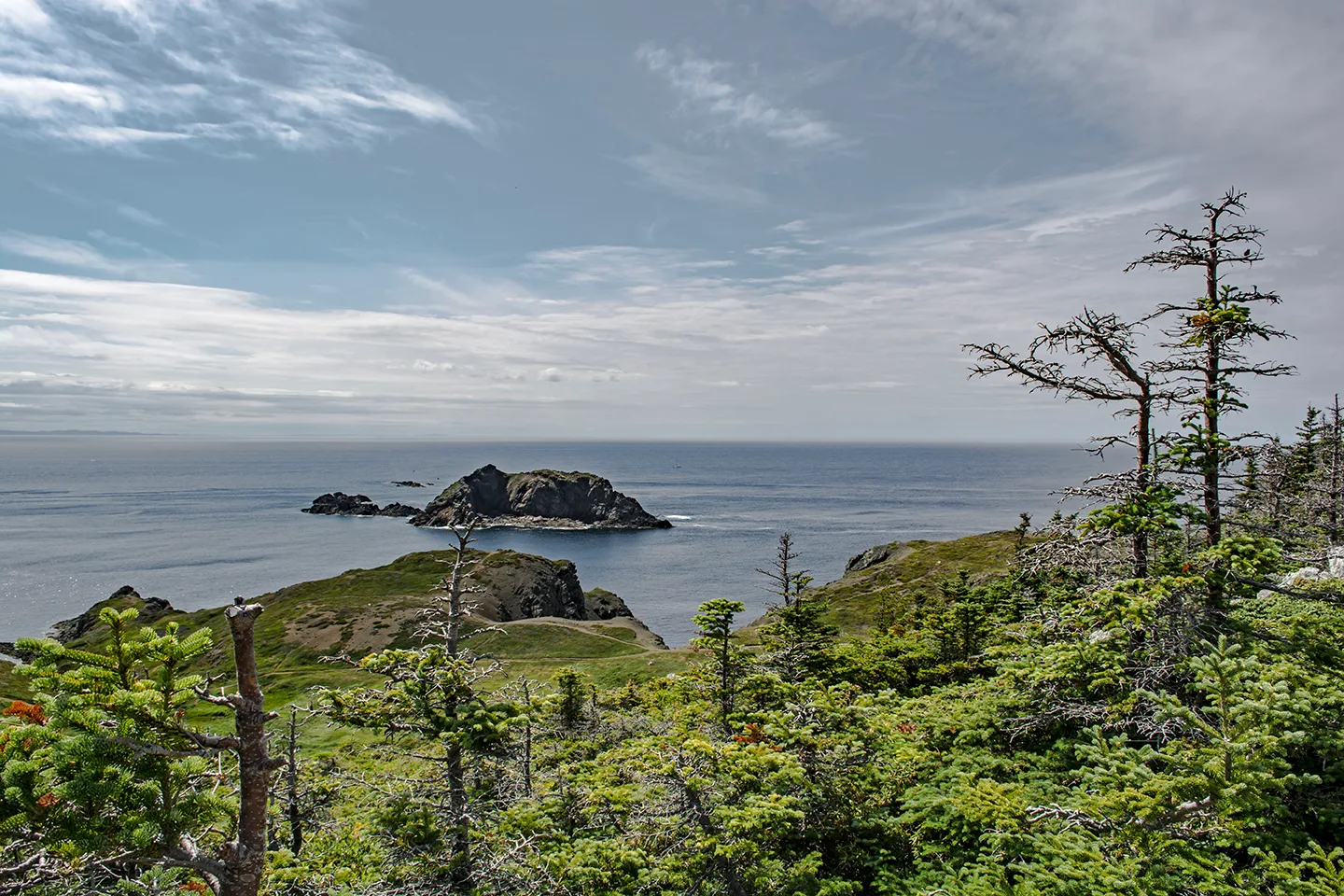 Twillingate 26