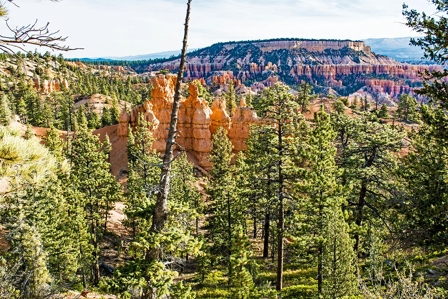 BryceNationalPark 11