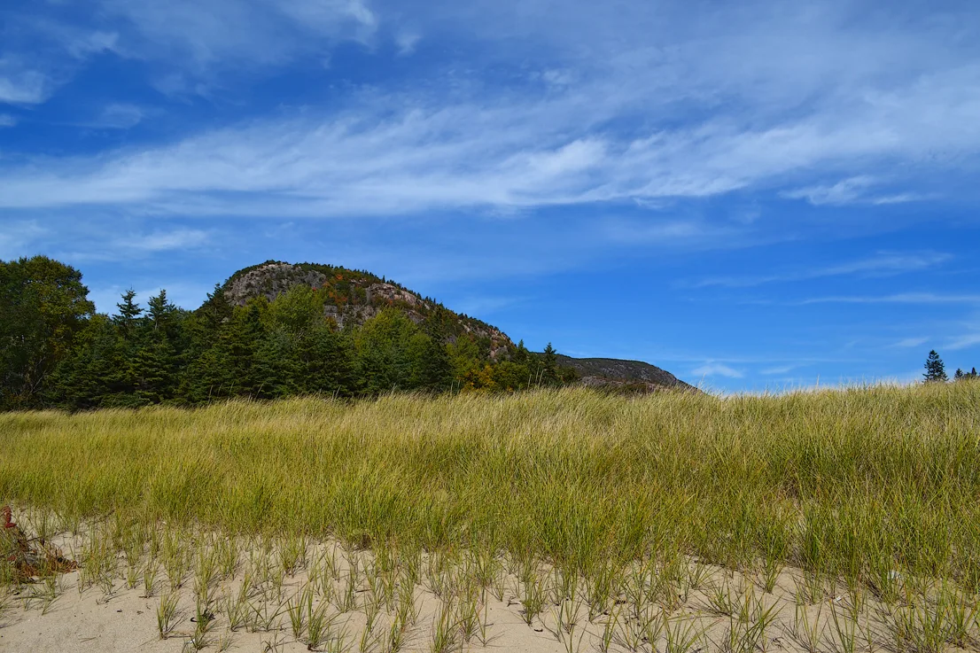 Acadia Shore Fall 1-20