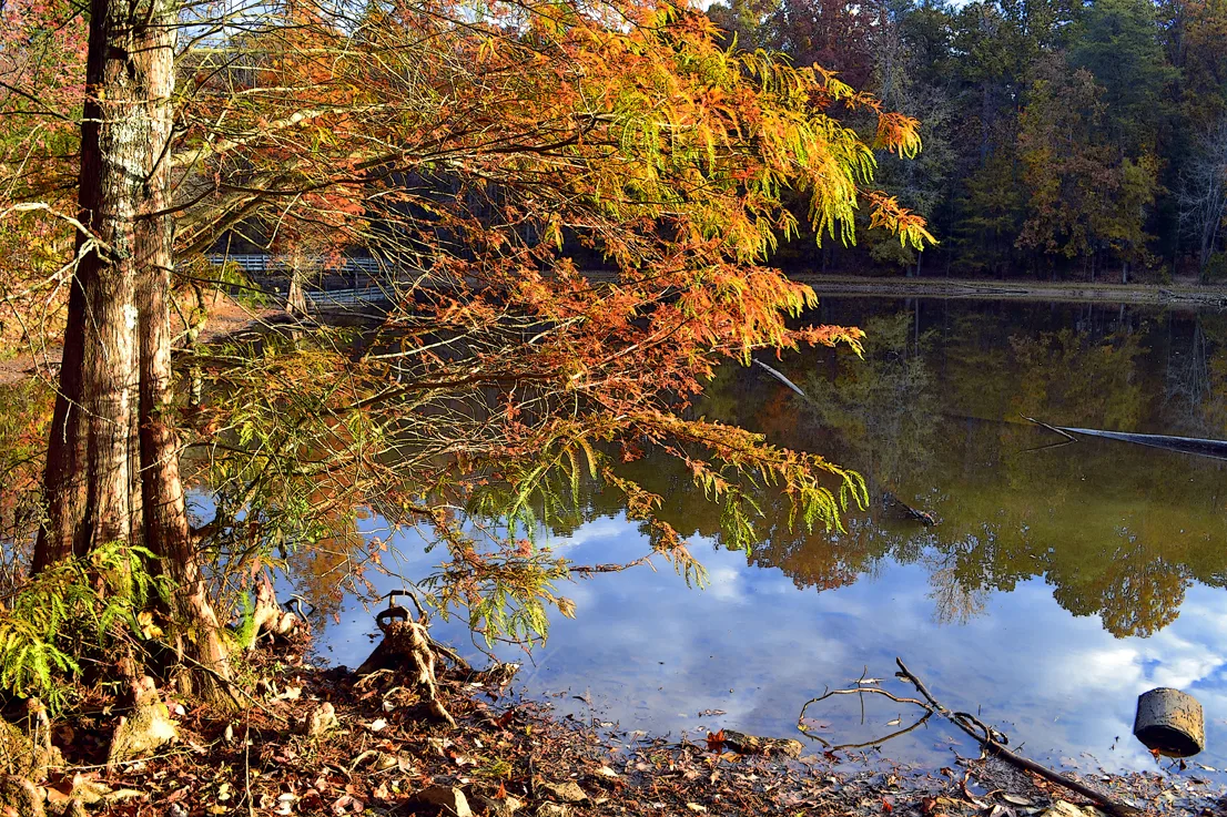 autumn Dan Nicholas 4