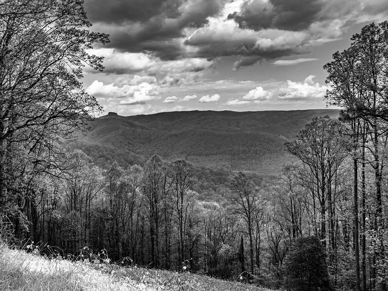 Blue Ridge 2-B&W