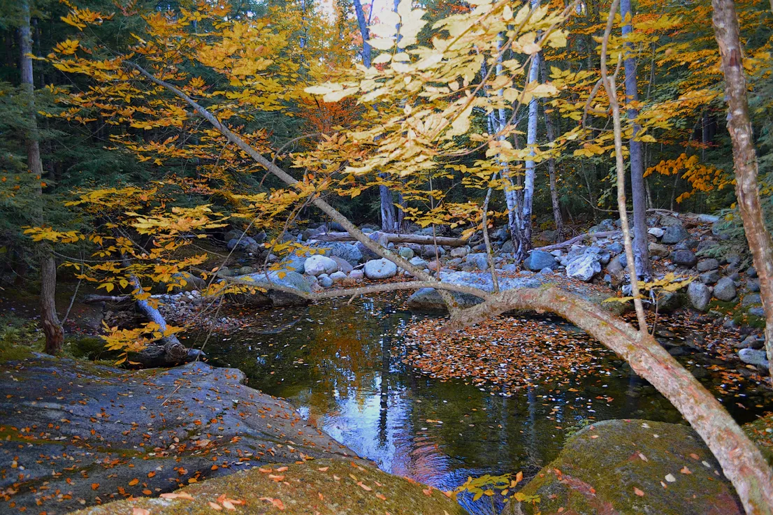 New Hampshire Mtns 8