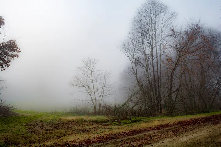 Fanniesloan 2015 Fog 11