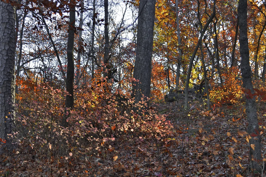 Lake Corriher 2014-12