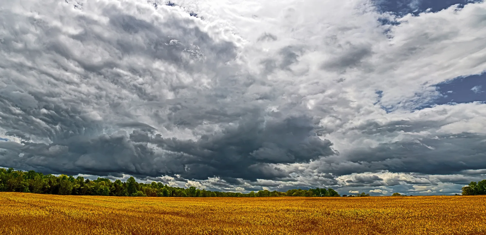 Caublecreekfieldpan 2 Adj