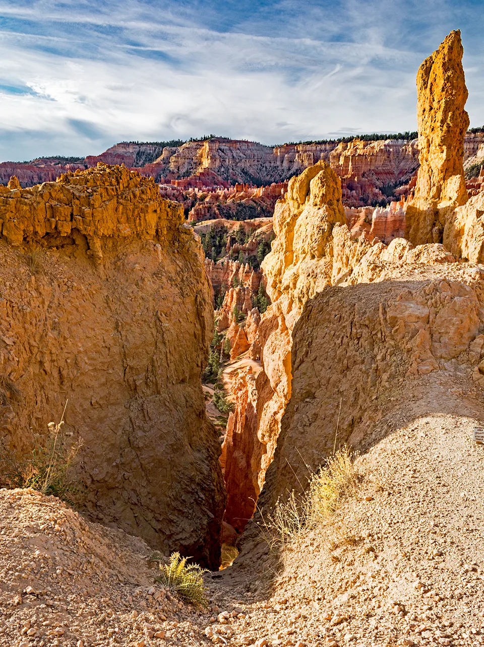 BryceNationalPark 13