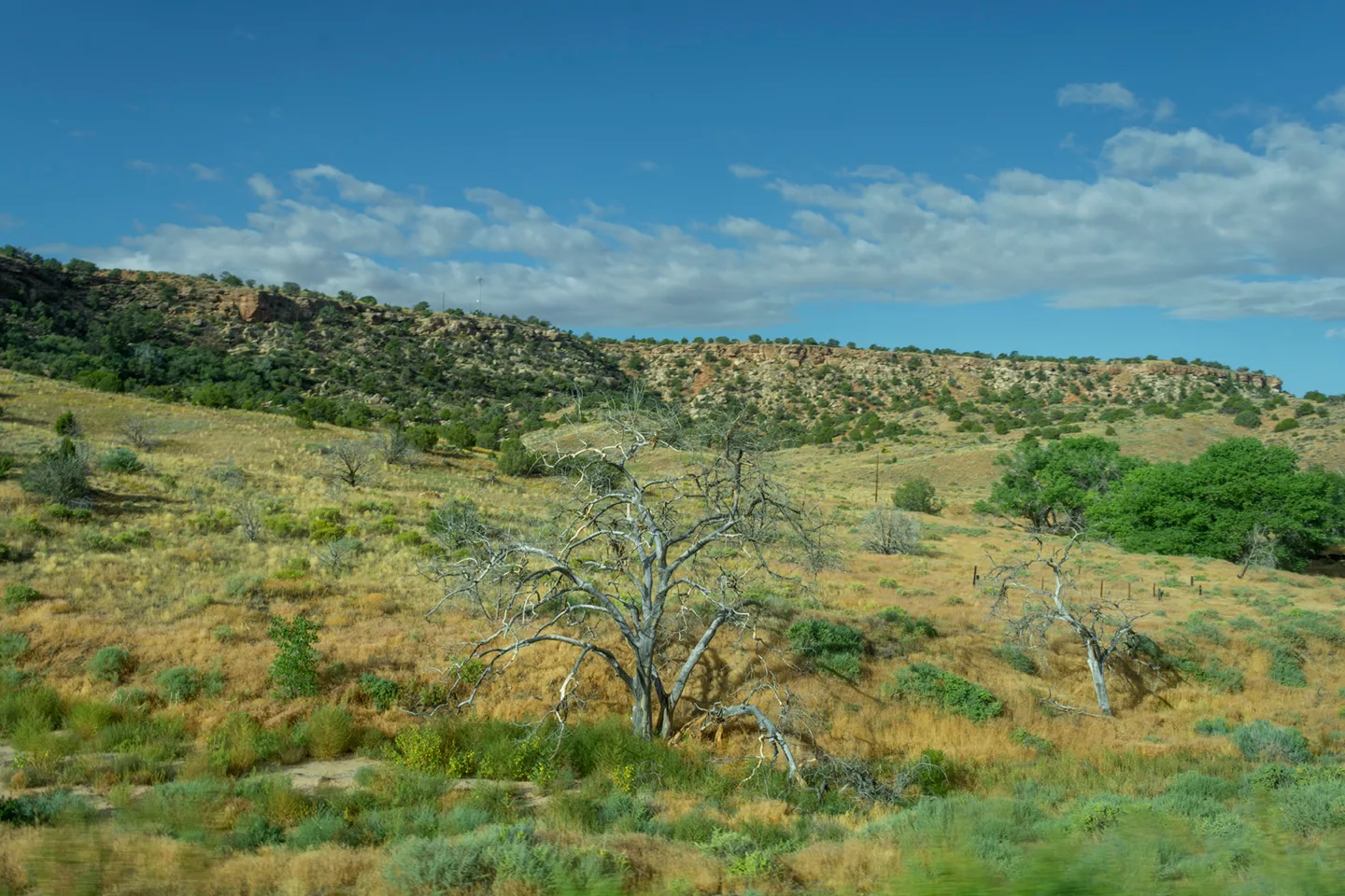 Arizona 1 Nearmarblecanyon 6