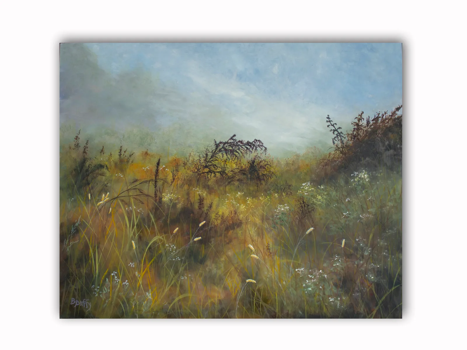 Blue Ridge Parkway Fog 2