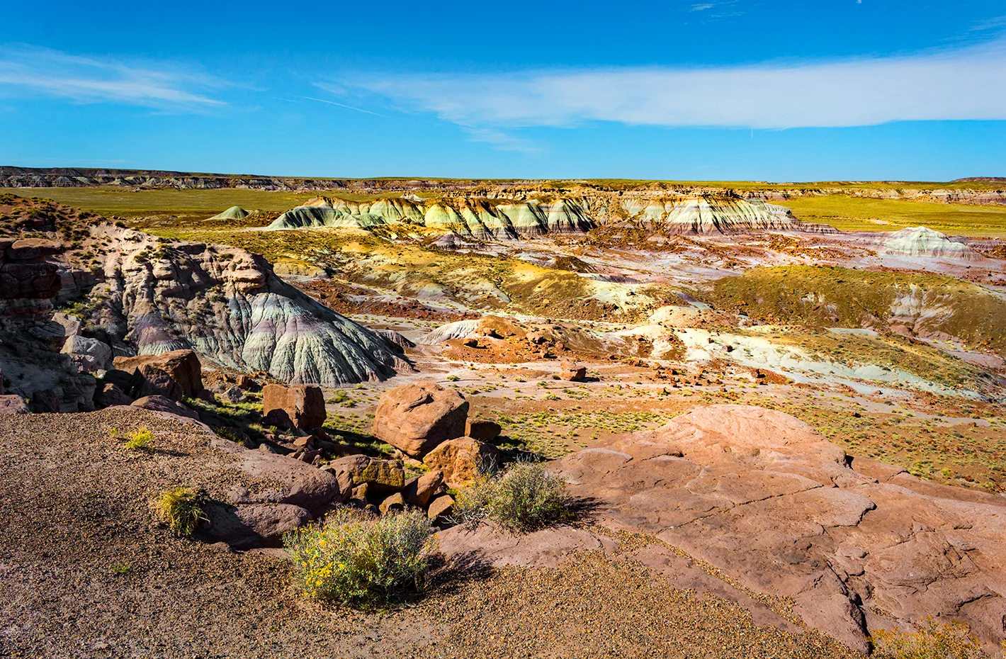The Petrified Forest 1