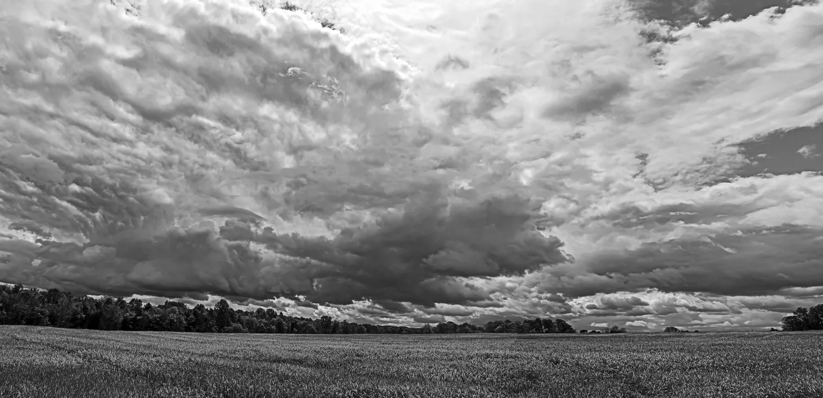 Caublecreekfieldpan 2 Adjbw