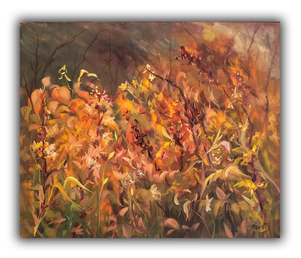 Clingmans Dome Flowers