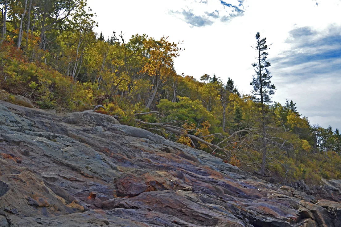 Acadia Shore Fall 1-13