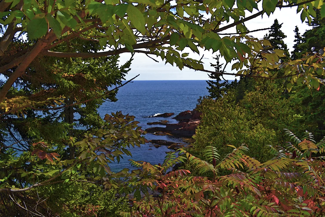 Acadia Shore Fall 1