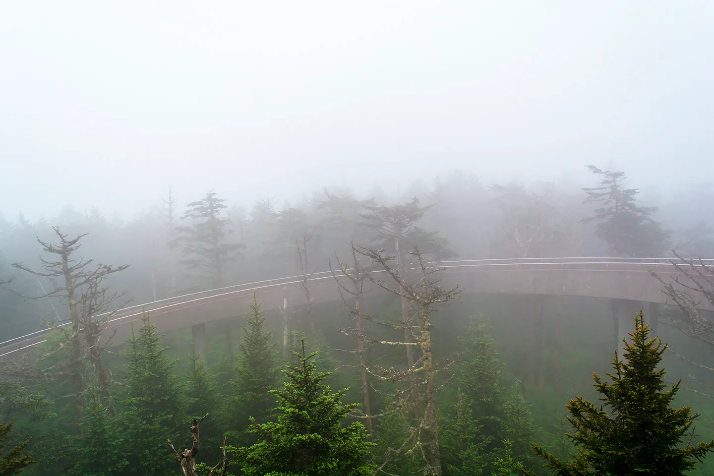 Clingmansdome 3