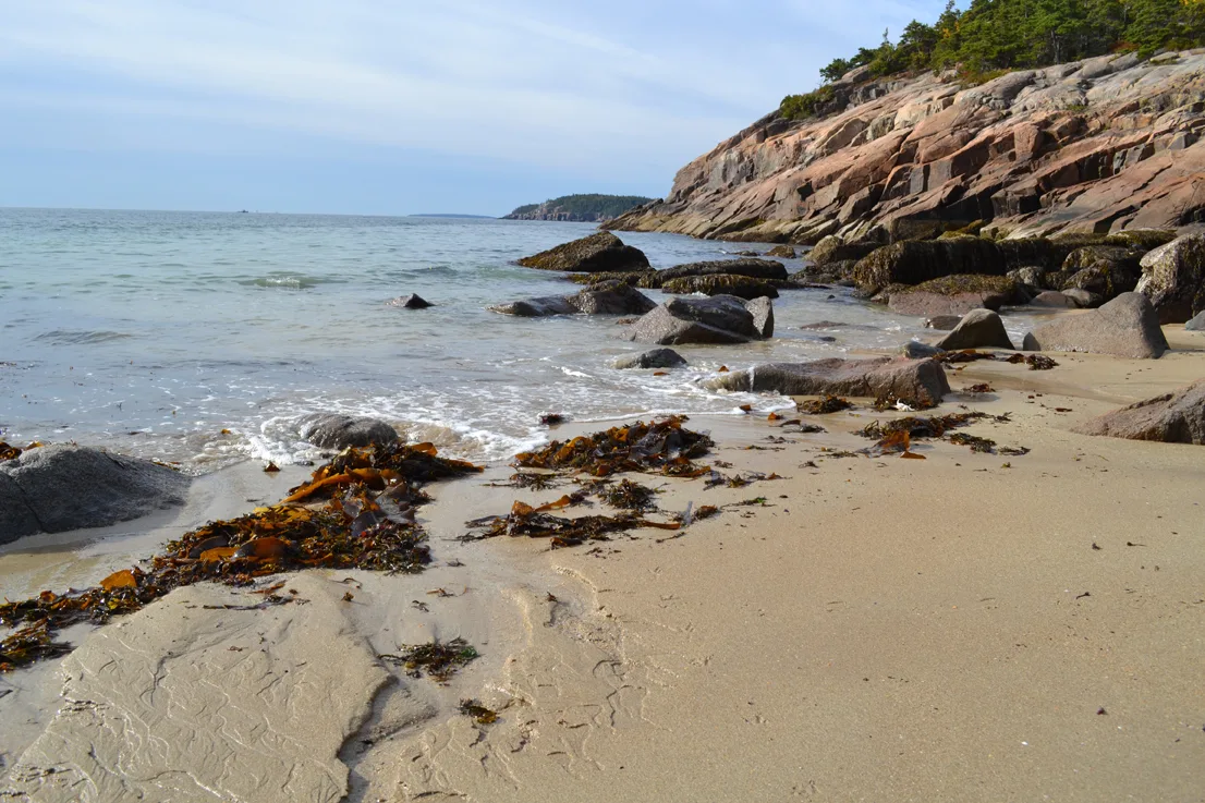 Acadia Shore Fall 1-11