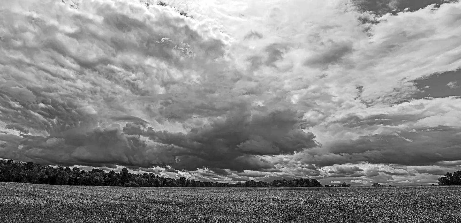 Caublecreekfieldpan 2 Adjbw