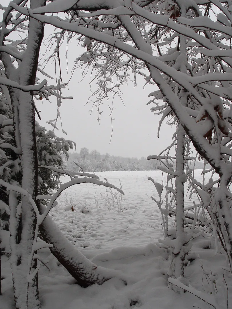 Snowy door to field
