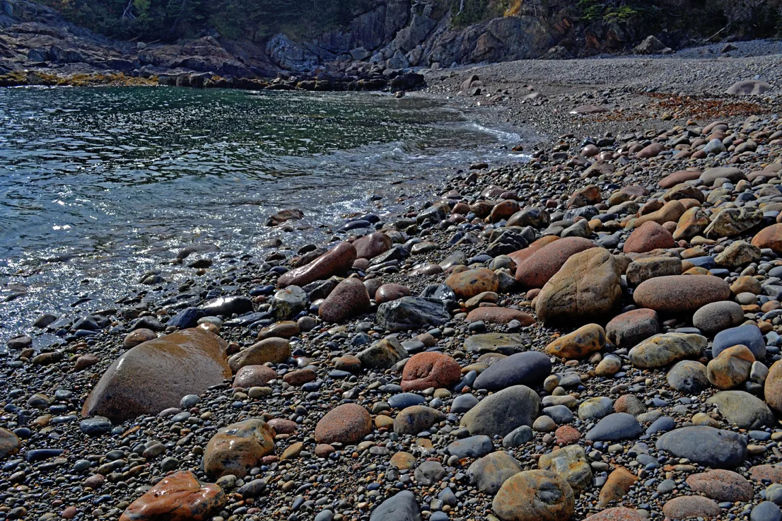 Acadia Shore 8