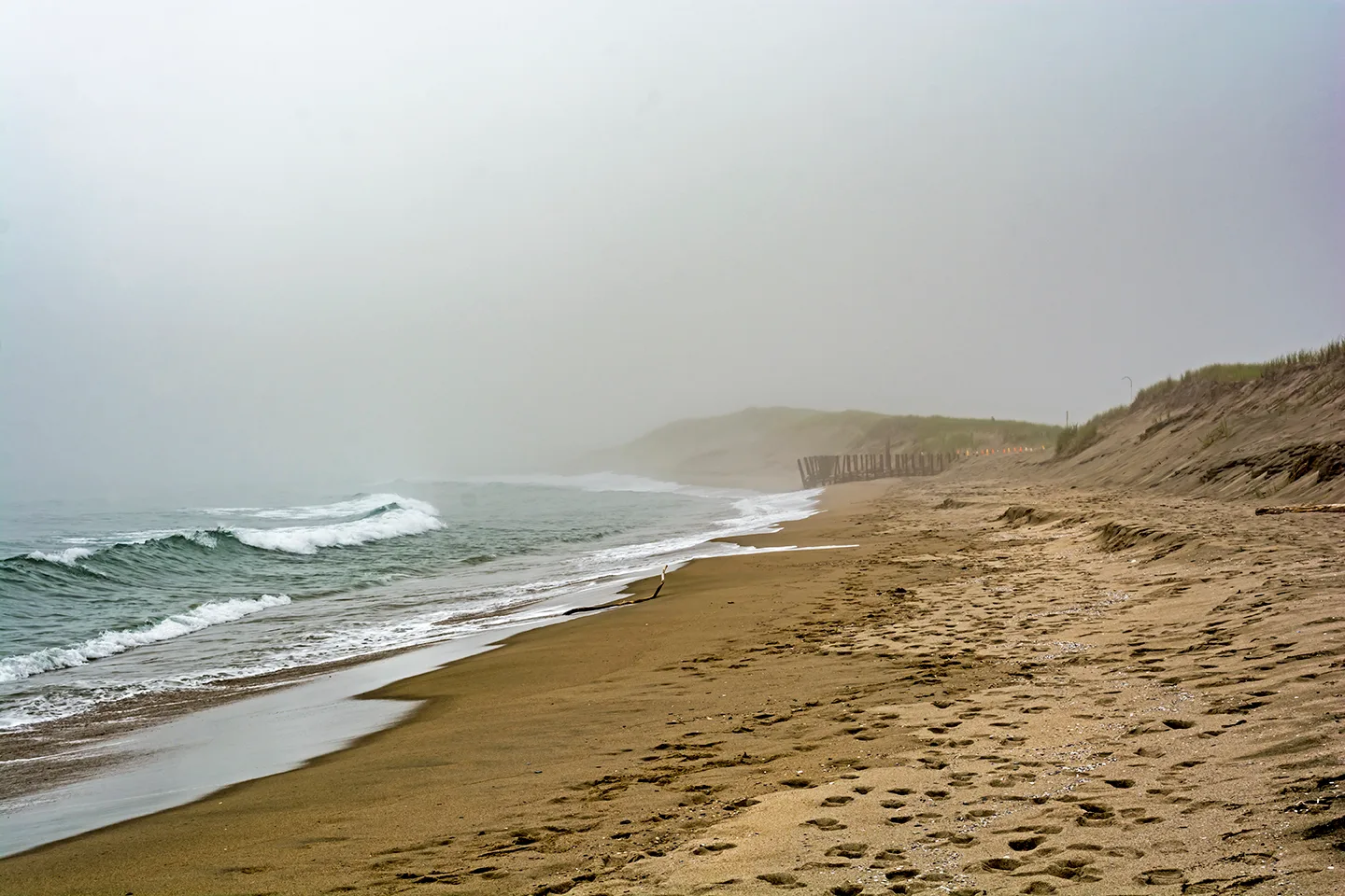 PortAuxBasqueReturn 12