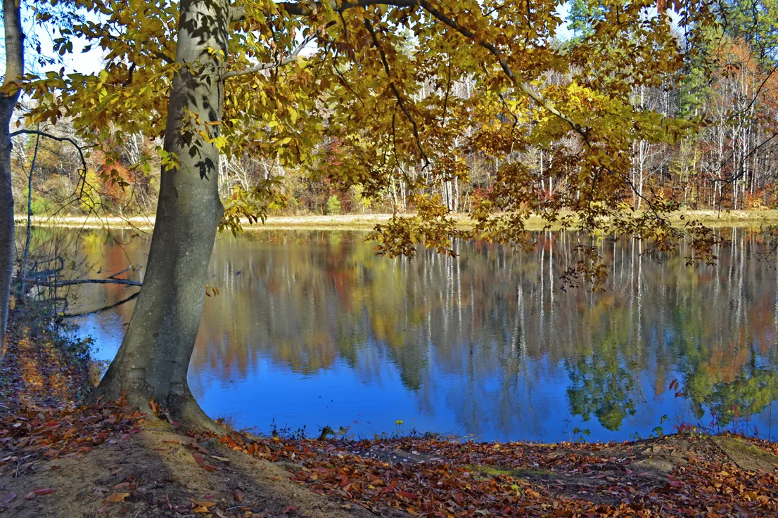 Lake Corriher 2014-5
